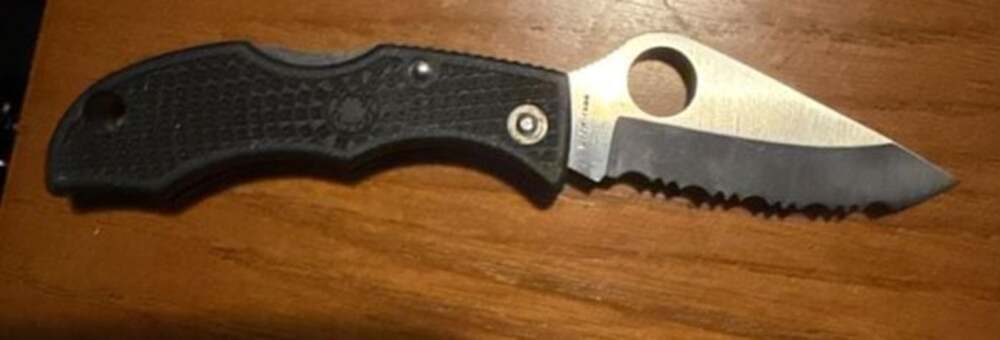 Spyderco Dragonfly 2 Lightweight Serrated Folding Knife - Picture 2 of 2